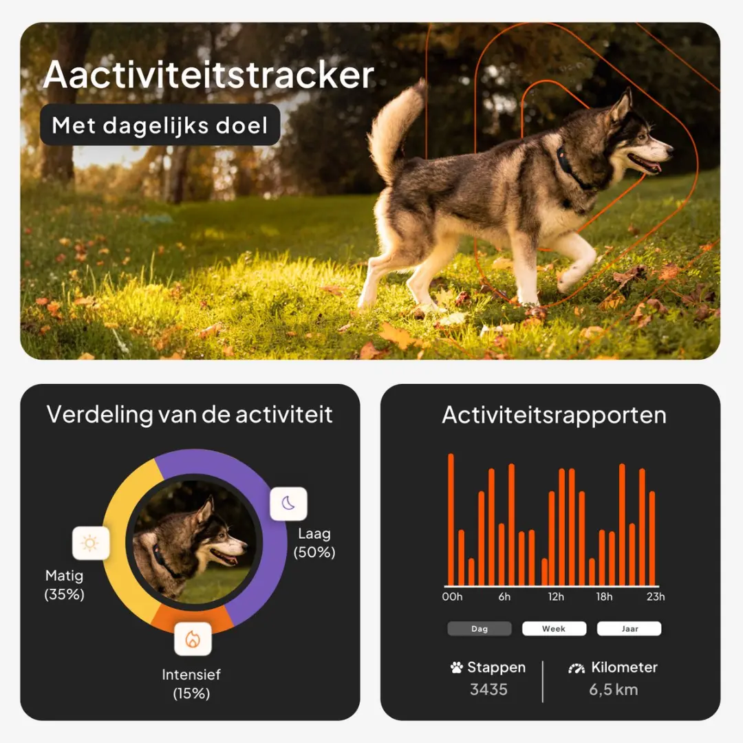 Weenect XT GPS Tracker voor Hond - Oranje - afbeelding 5 van 6
