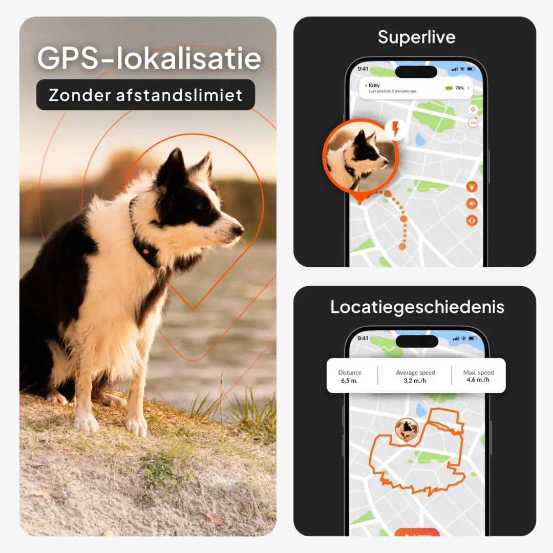 Weenect XT GPS Tracker voor Hond - Oranje - afbeelding 6 van 6
