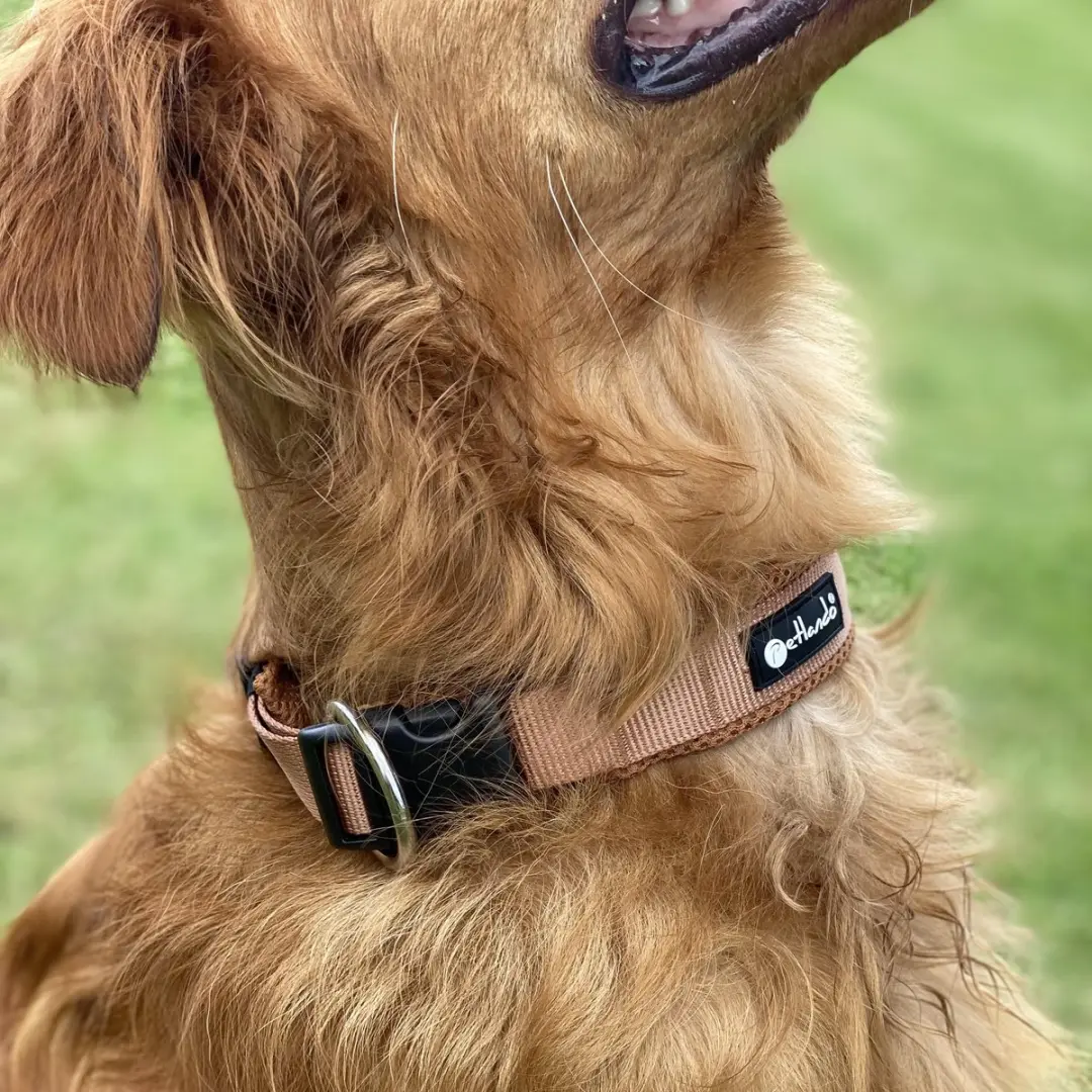 Petlando Hondenhalsband Mesh Klikhalsband - Cognac - L 50-55x4cm - afbeelding 2 van 3