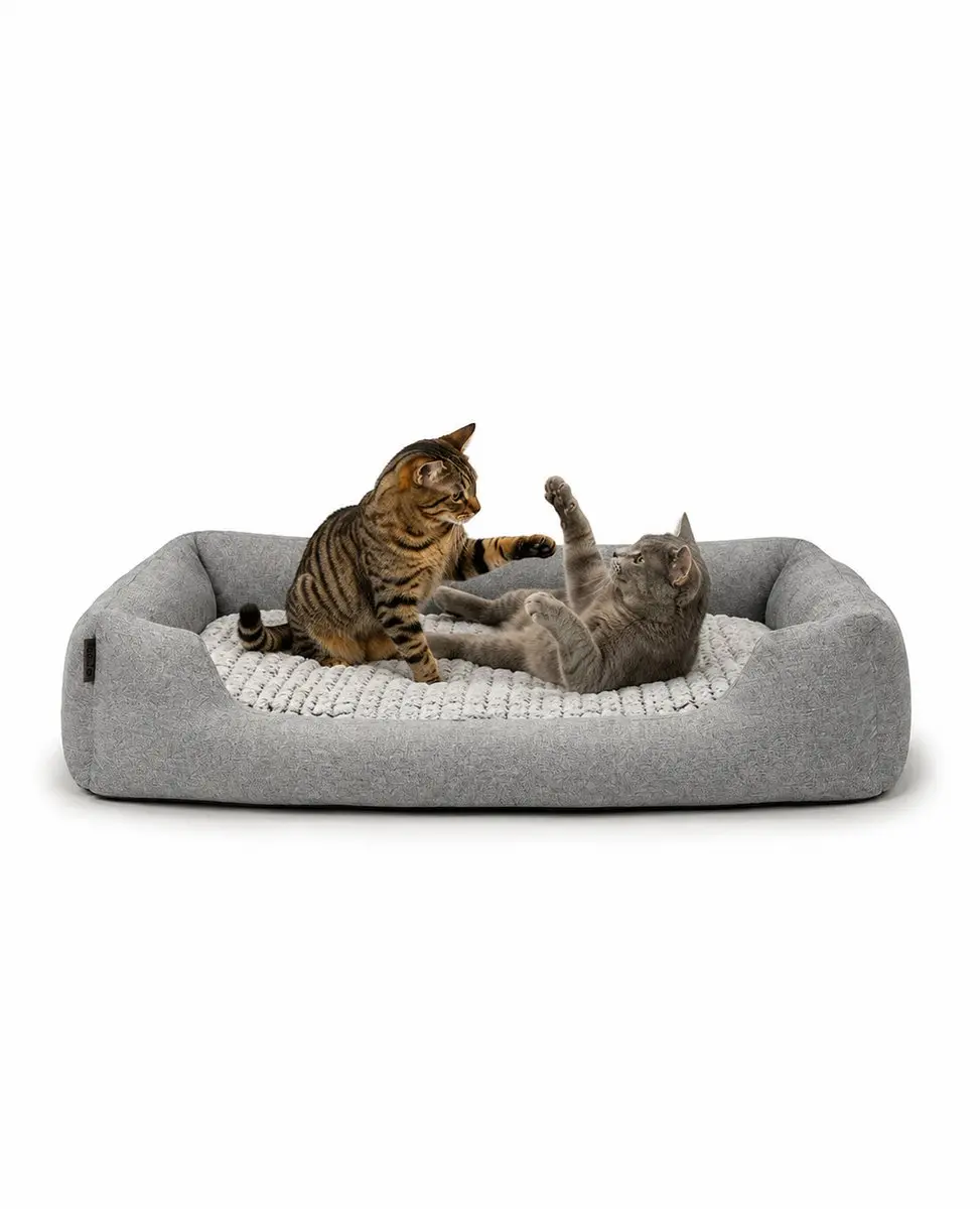 lionto Kattenbed, omkeerbaar kussen & lage instap, 110x80 cm grijs