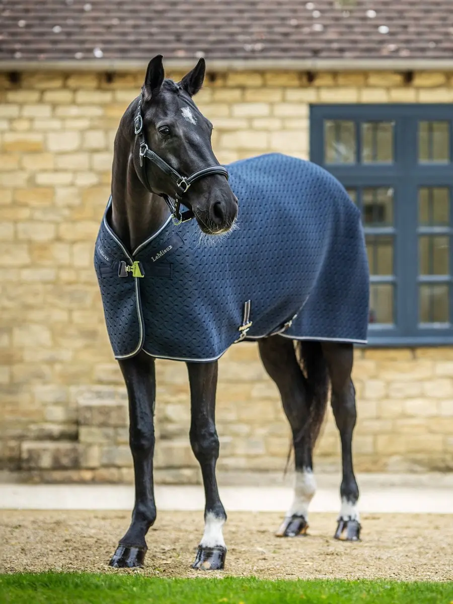 LeMieux Kudos 3D Mesh Paardendeken