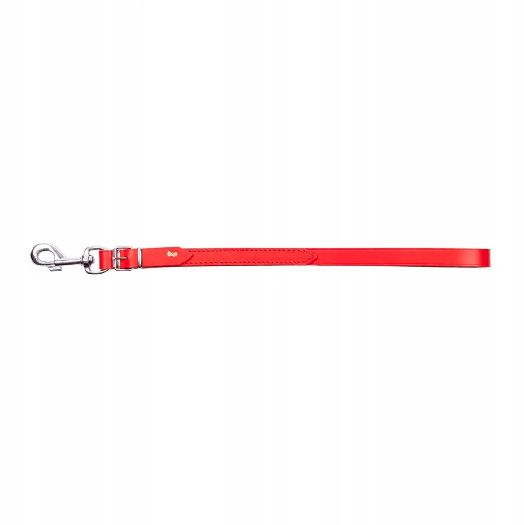 Dingo Korte Leren Hondenriem 2x50 cm Rood