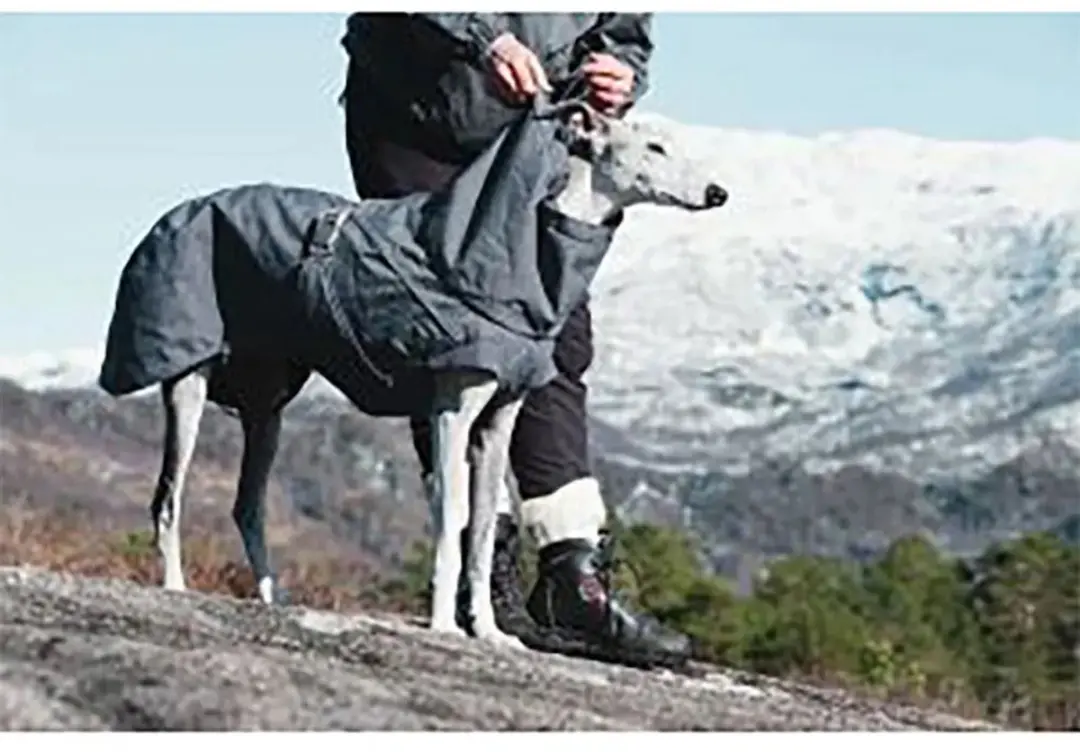 Hurtta Expedition Parka - Blackberry - 20 cm - afbeelding 2 van 6