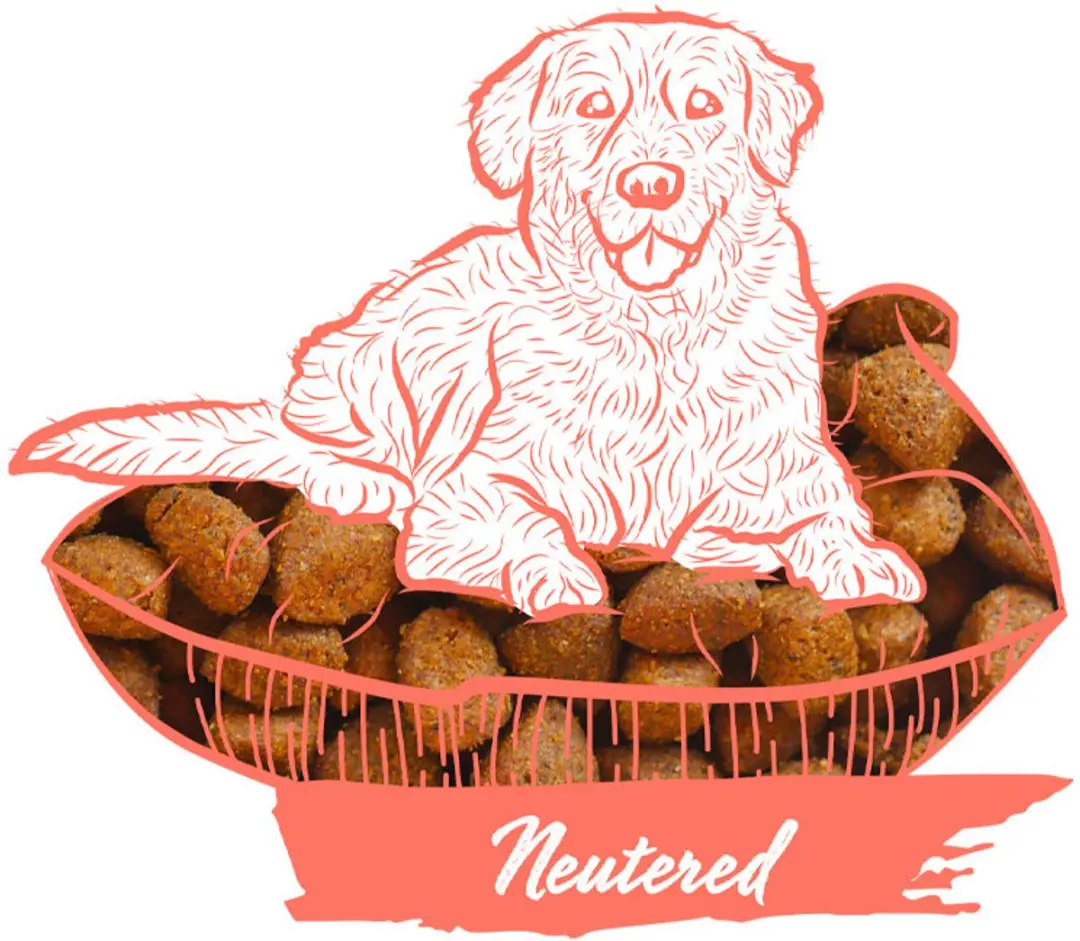 Calibra Expert Nutrition Neutered hondenvoer