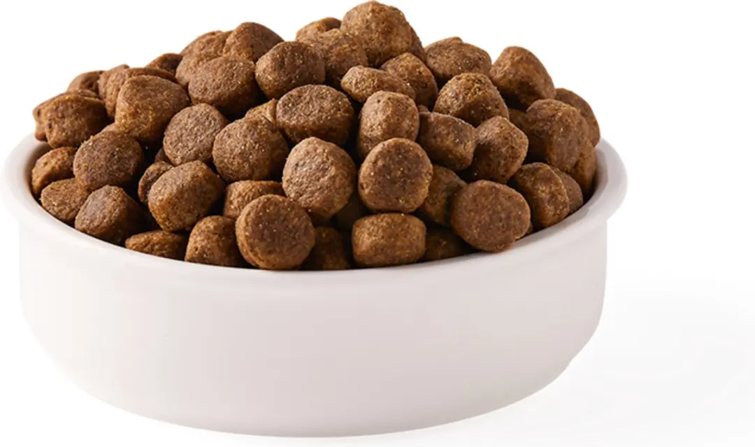 Yarrah Biologisch Hondenvoer Graanvrij Kip & Vis - 10kg - afbeelding 4 van 5