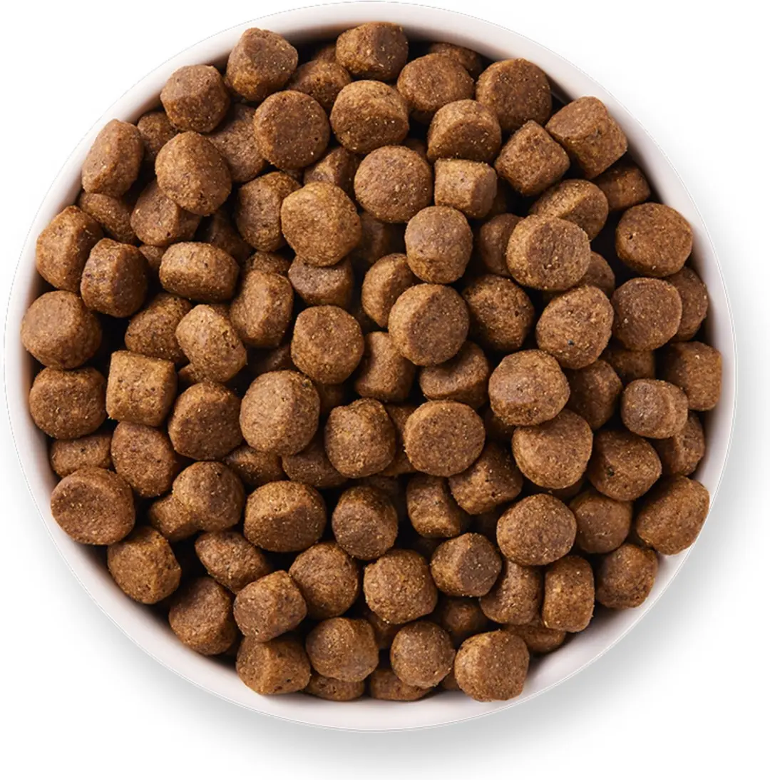 Yarrah Biologisch Hondenvoer Graanvrij Kip & Vis - 10kg - afbeelding 5 van 5