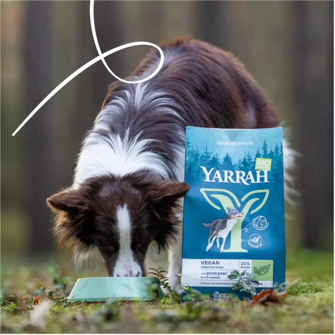 Yarrah Biologisch Vegan Hondenvoer Graanvrij - 2kg - afbeelding 3 van 6