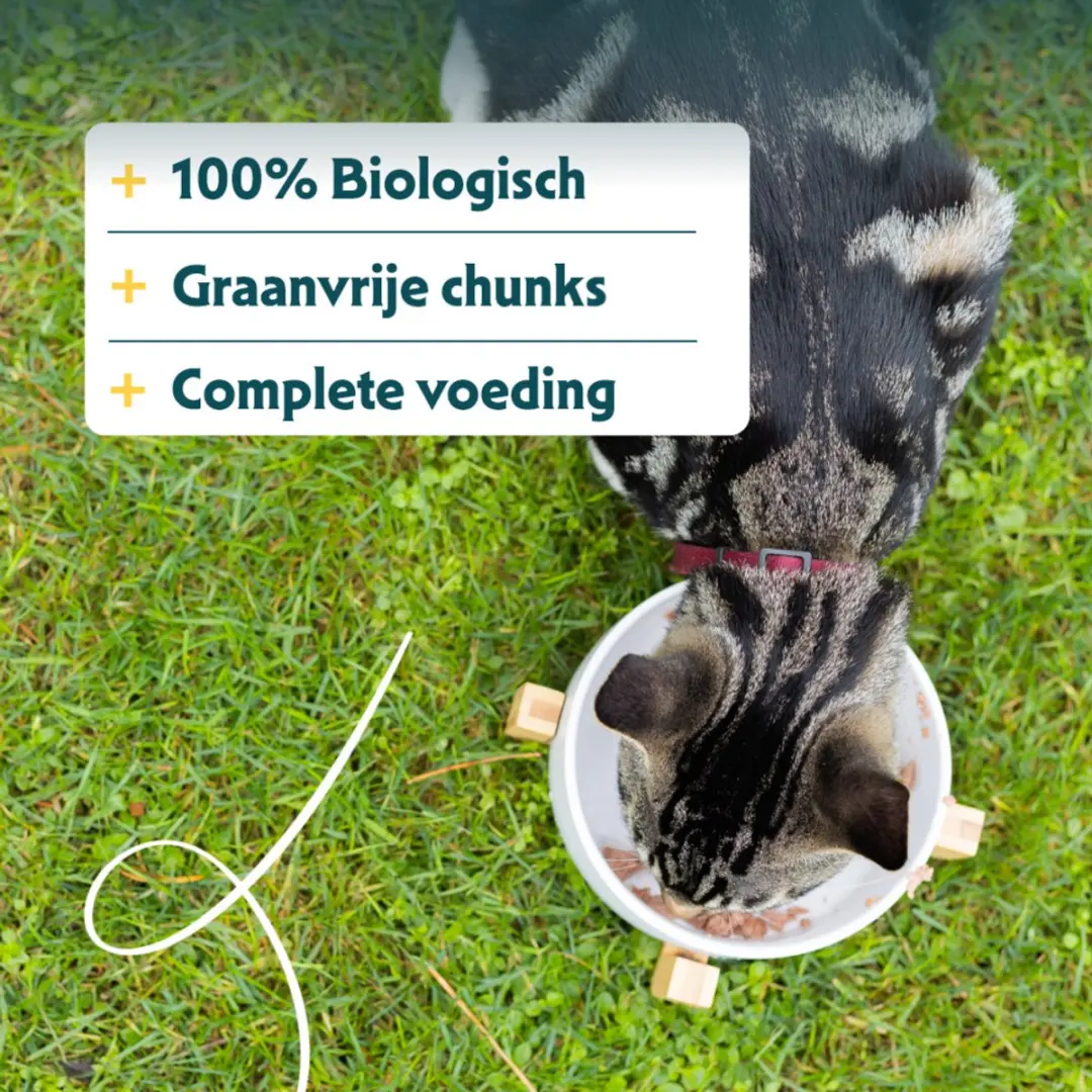 Yarrah Bio Kattenvoer Chunks Vis - 16x 100g - afbeelding 3 van 6