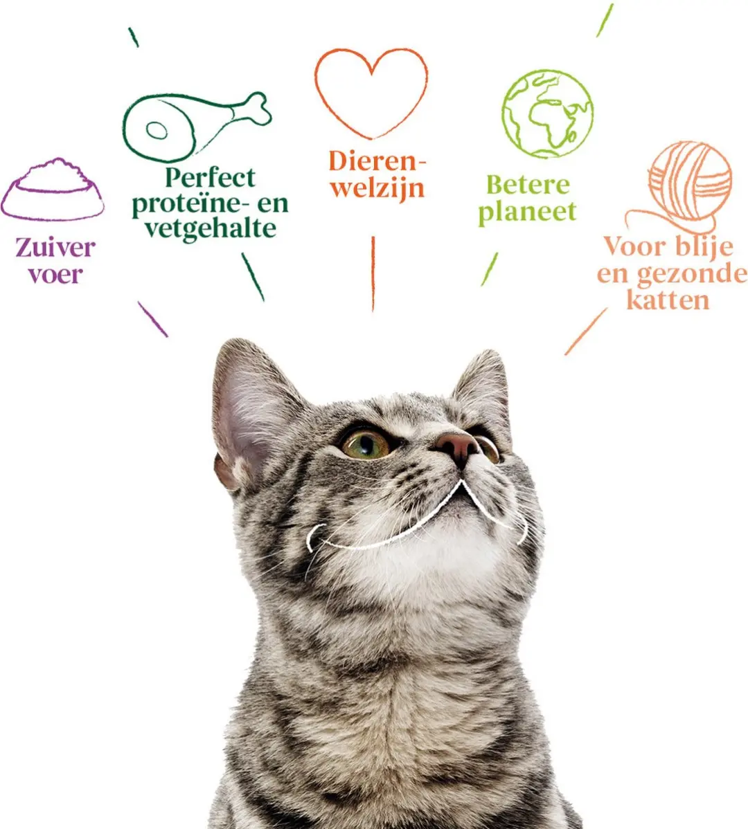 Yarrah Bio Kattensnack Mini - 10x 50g - afbeelding 6 van 6