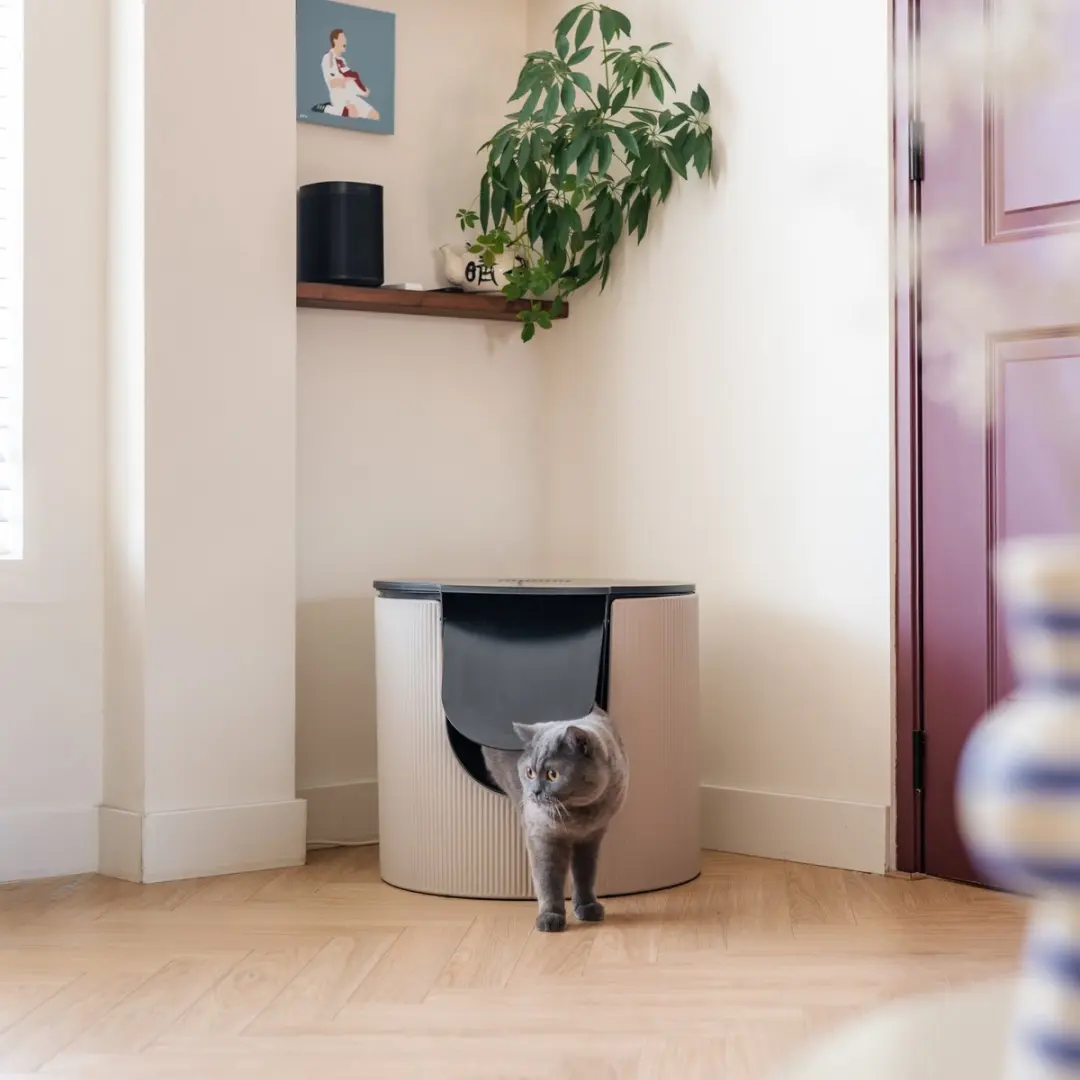 District 70 FUSE Design Kattenbak met Cover - Ribbed Tin Beige - afbeelding 5 van 6