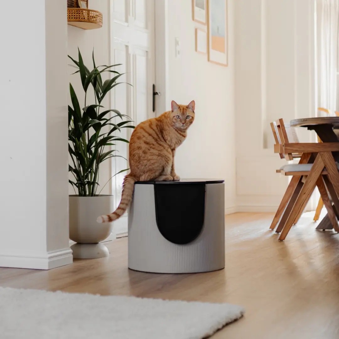District 70 FUSE Design Kattenbak met Cover - Ribbed Tin Beige - afbeelding 4 van 6