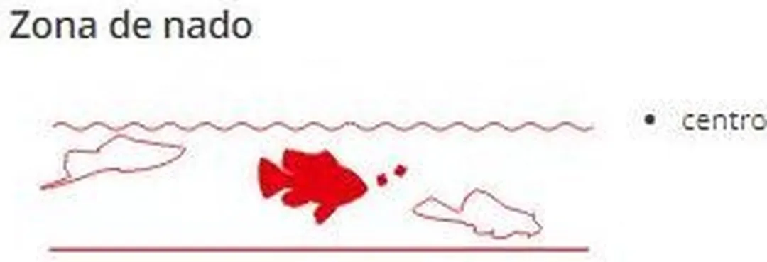 Sera Guppy Gran 100ml - Aquariumvoer