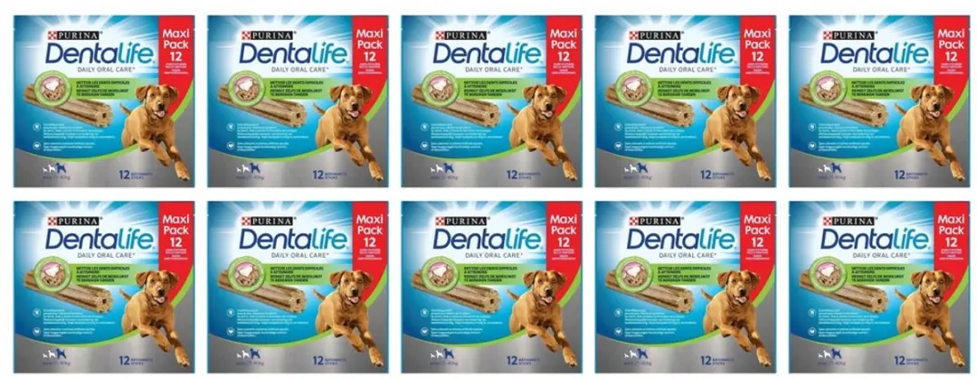 10x Dentalife