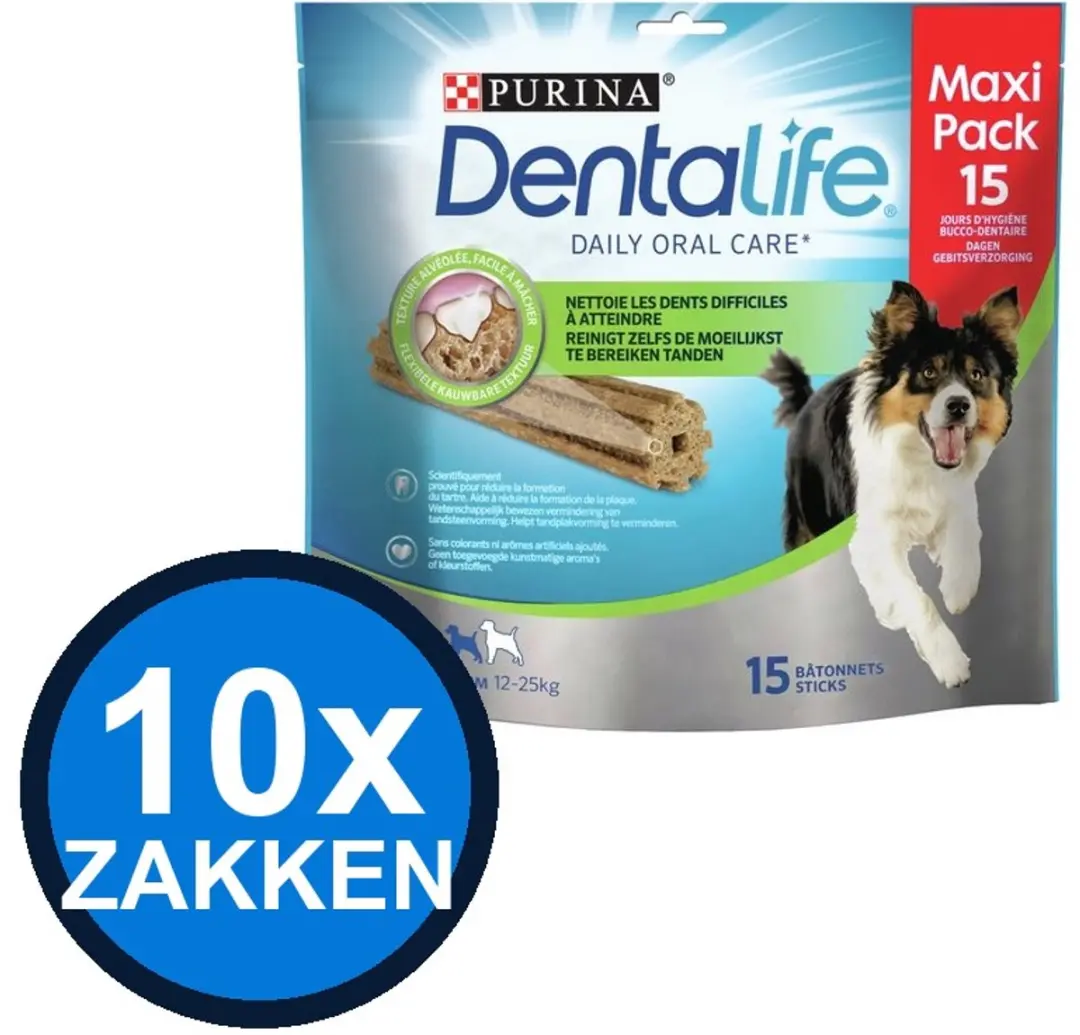 10x Dentalife