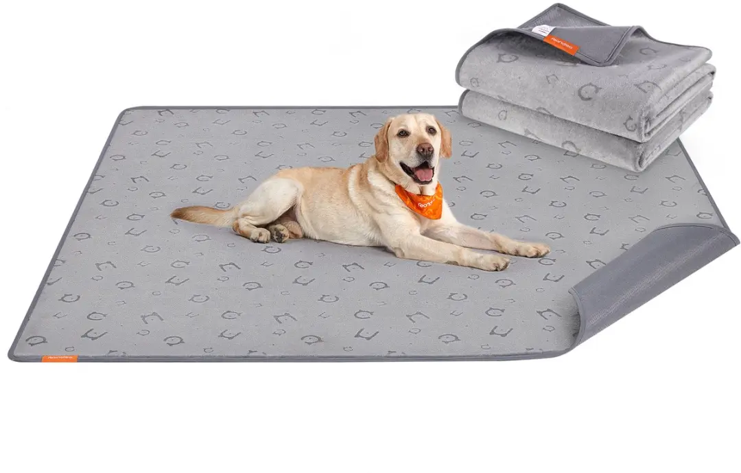 Feandrea Trainingsmat Puppy XXL