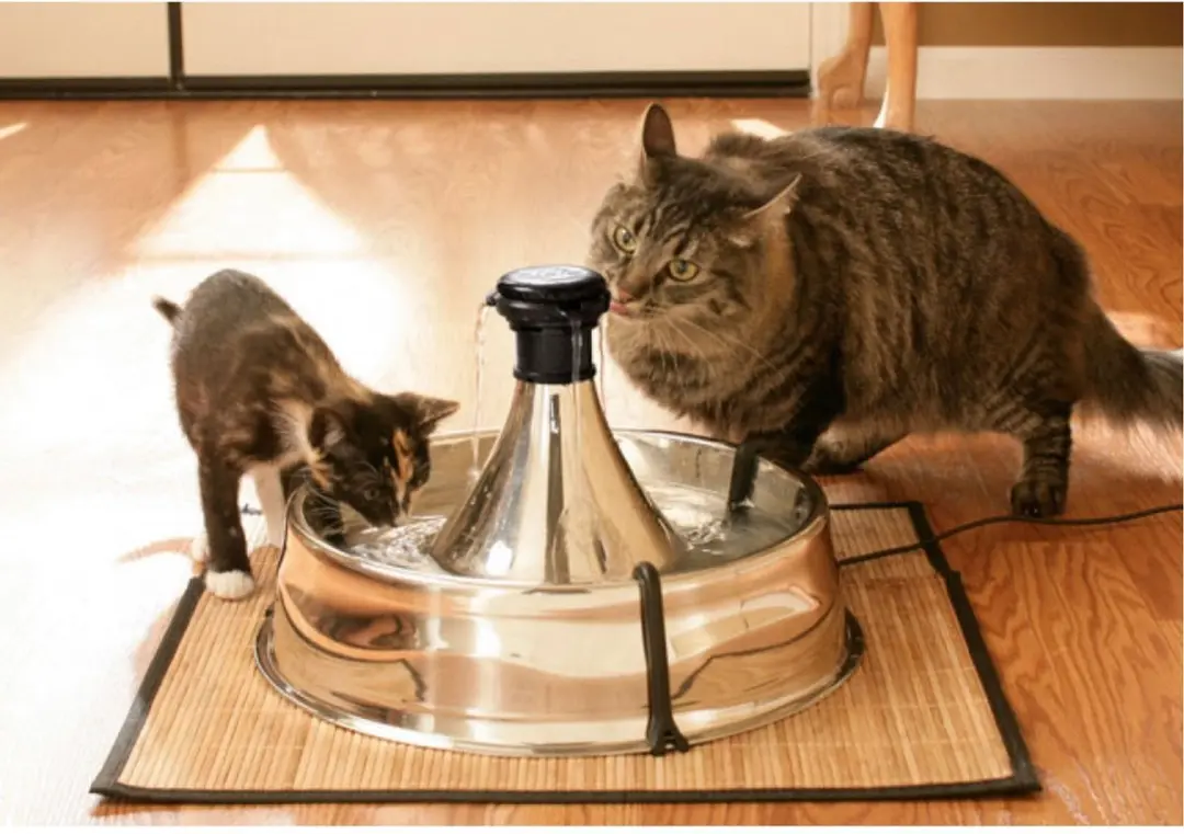 PetSafe Drinkwell 360 Drinkfontein - Roestvrij Staal - 3,8L - afbeelding 2 van 6