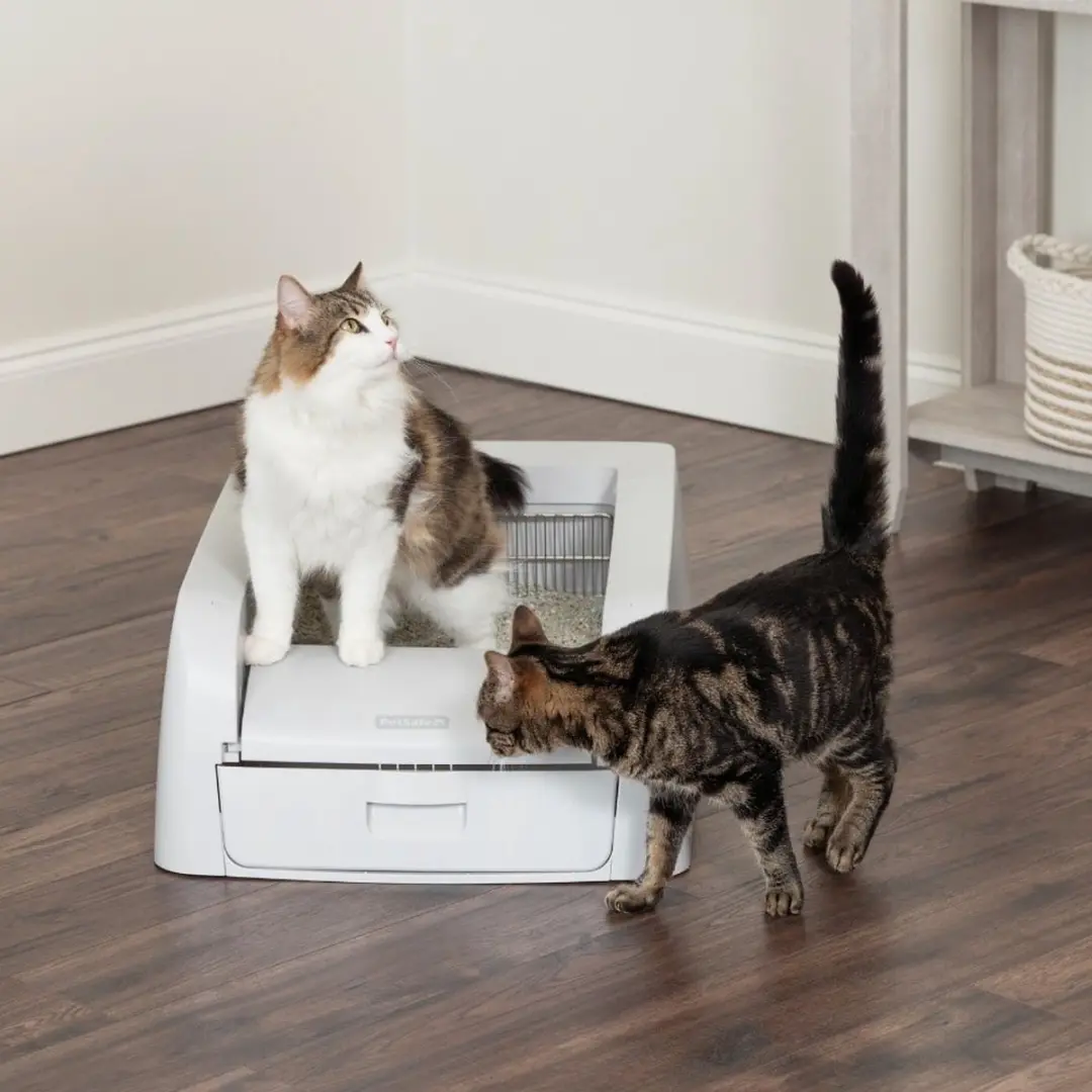 PetSafe ScoopFree Zelfreinigende Kattenbak - Wit - afbeelding 4 van 6