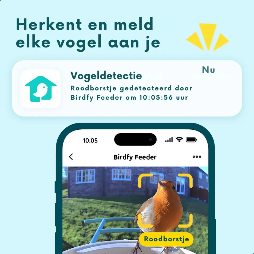Birdfy Feeder 1 Vogelvoederhuisje met Camera - Zonnepaneel - afbeelding 6 van 6