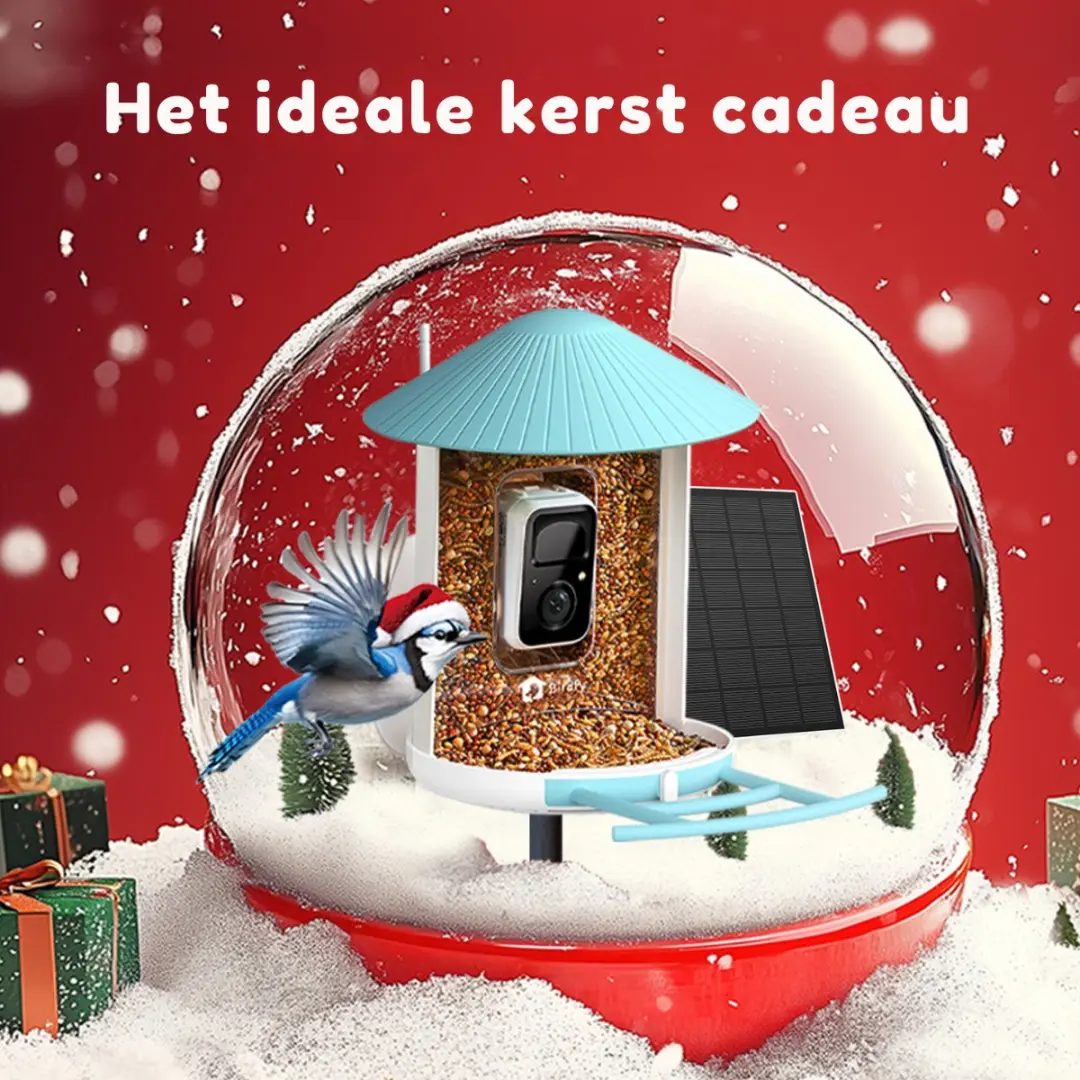 Birdfy Feeder 1 Vogelvoederhuisje met Camera - Zonnepaneel - afbeelding 2 van 6
