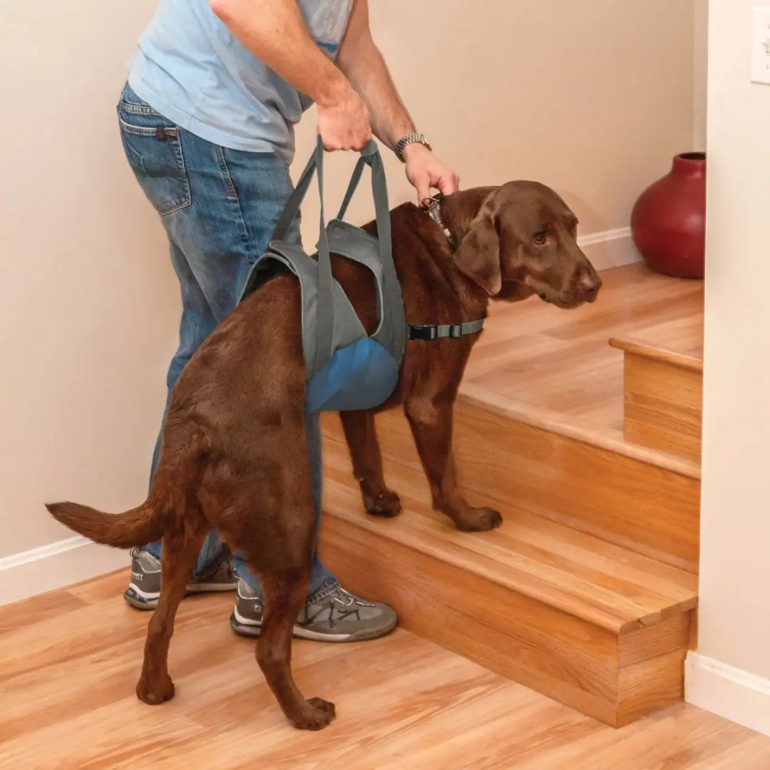 Kurgo Up & About Lifter - Hondenharnas tot 41 kg - Grijs/Blauw - afbeelding 2 van 6