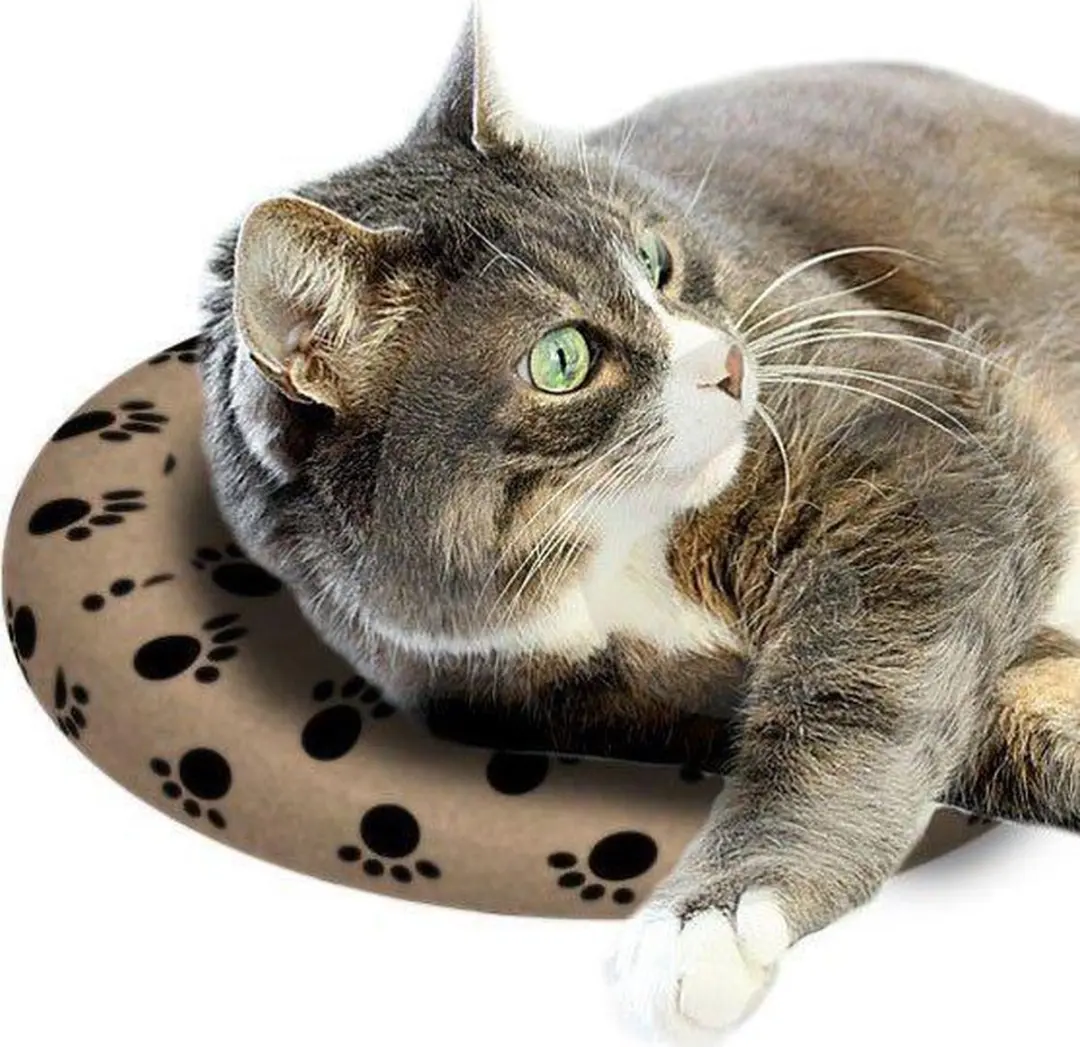 SnuggleSafe Warmteschijf voor Hond en Kat - 24cm - afbeelding 2 van 4