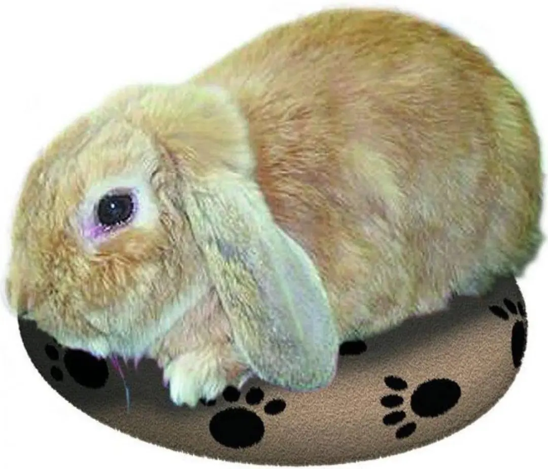 SnuggleSafe Warmteschijf voor Hond en Kat - 24cm - afbeelding 3 van 4