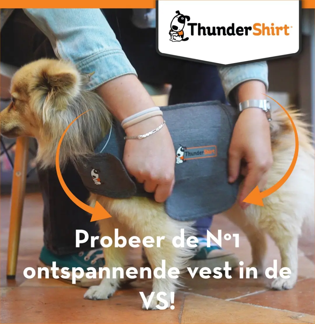 Thundershirt Kalmerend Vest voor Honden - Grijs - Maat L - afbeelding 4 van 6