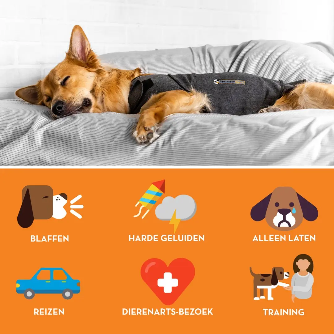 Thundershirt Kalmerend Vest voor Honden - Grijs - Maat L - afbeelding 3 van 6