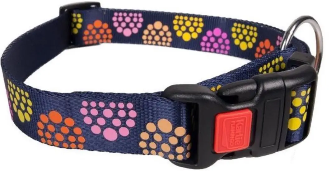 Collar party blue 40-55cm 20mm