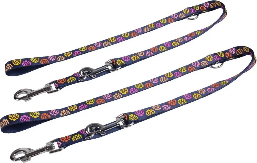 Training leash party blue 200cm 20mm