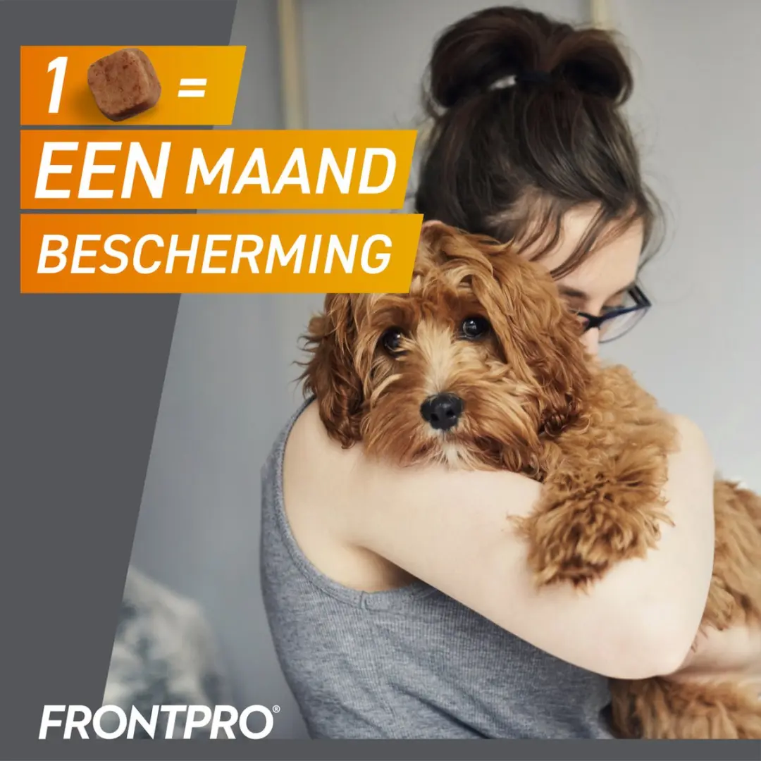 Frontpro Hond XL Kauwtabletten 25-50 kg - 3 Tabletten - afbeelding 5 van 6