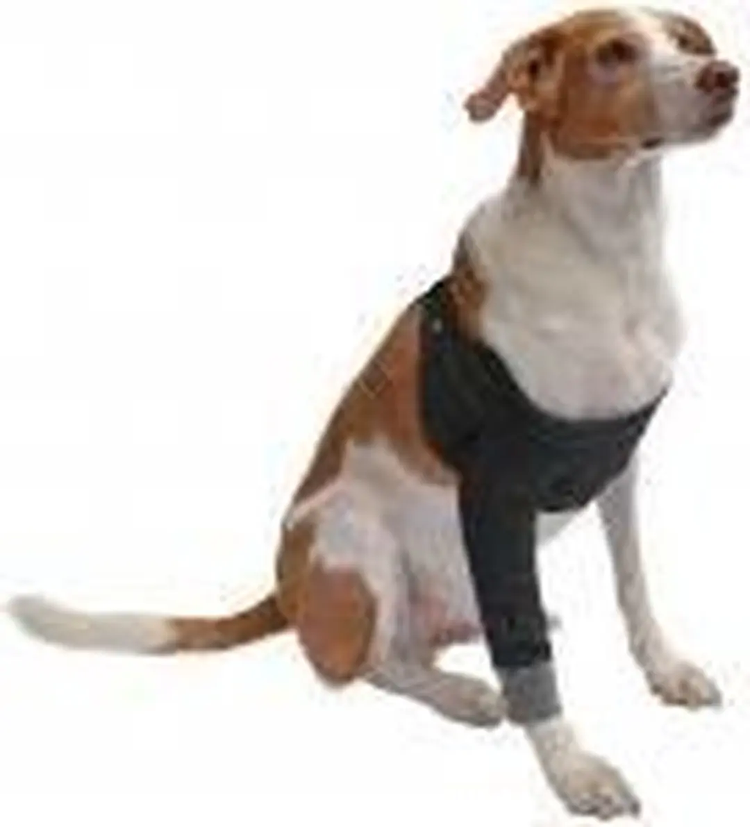 Voorpootbeschermer voor honden