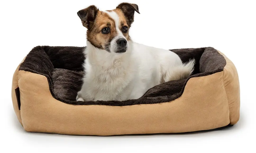 lionto zacht Hondenbed, omkeerbaar kussen & antislip bodem 60x48 cm beige/bruin