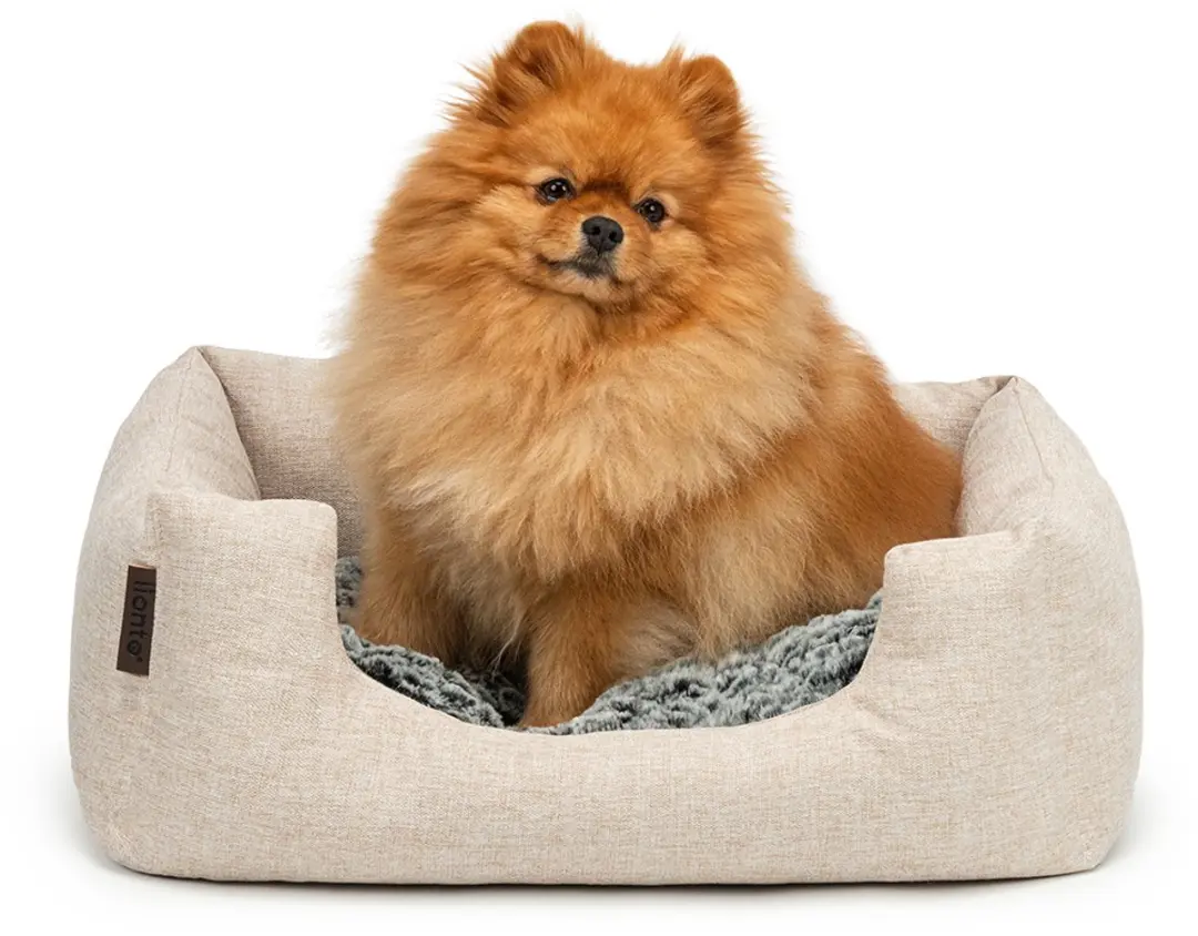 lionto comfort hondenmand, zacht, antislip & onderhoudsvriendelijk, 60x50 cm bei