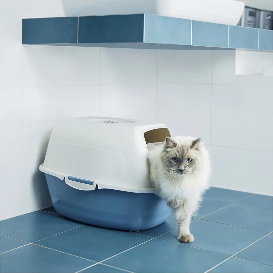 Rotho MyPet Bailey Eco Kattenbak Gesloten - 56x40x39cm - Blauw - afbeelding 5 van 6