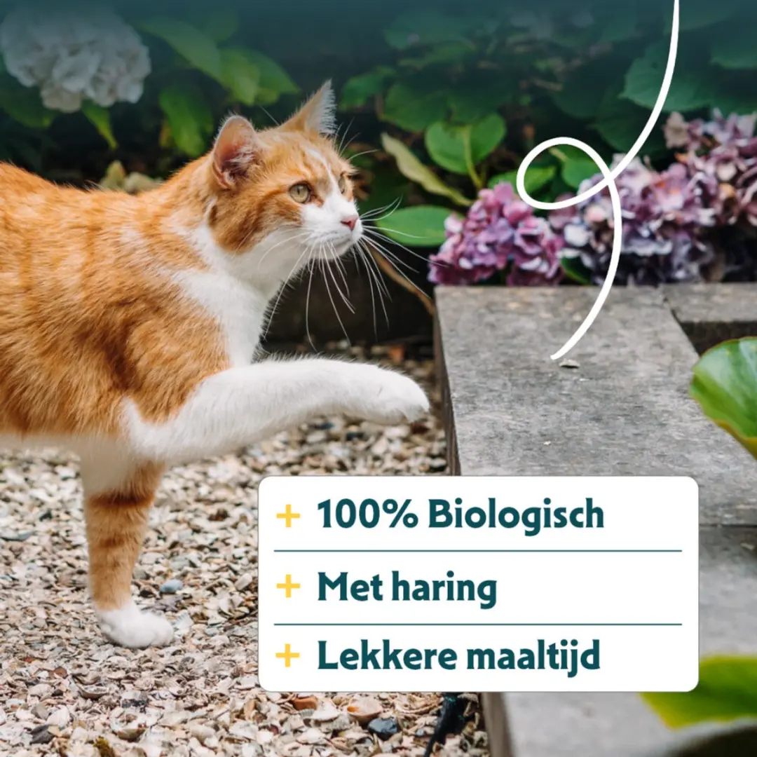 Yarrah Bio Kattenvoer Adult Vis 2,4kg - 4x - afbeelding 4 van 6