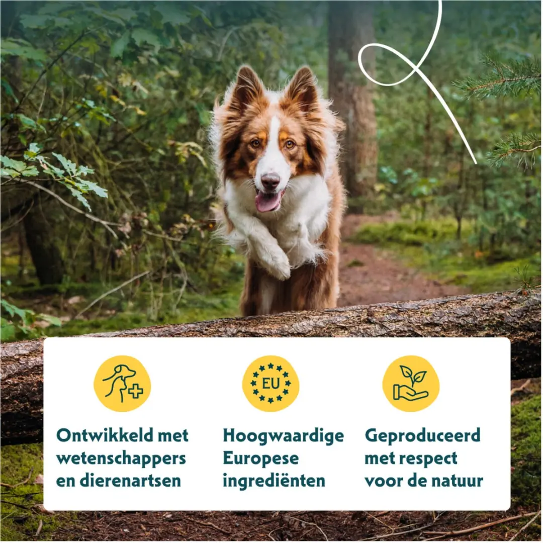 Yarrah Biologisch Hondenvoer Adult Kip - 10kg - afbeelding 4 van 6