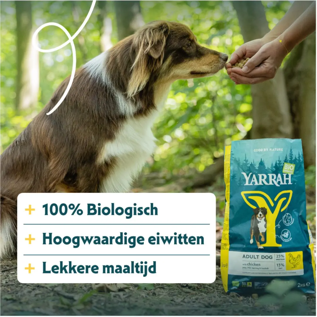 Yarrah Biologisch Hondenvoer Adult Kip - 10kg - afbeelding 6 van 6