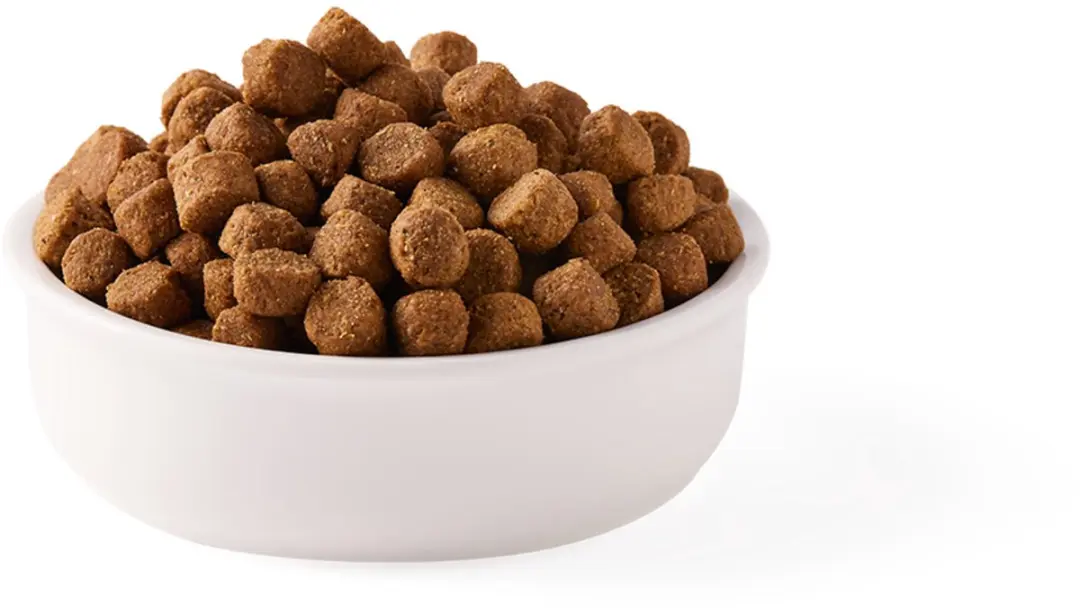 Yarrah Biologisch Hondenvoer Adult Kip - 10kg - afbeelding 3 van 6