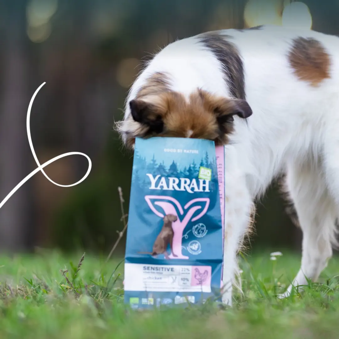 Yarrah Bio Hondenvoer Sensitive Adult Kip & Rijst 2kg - afbeelding 5 van 6