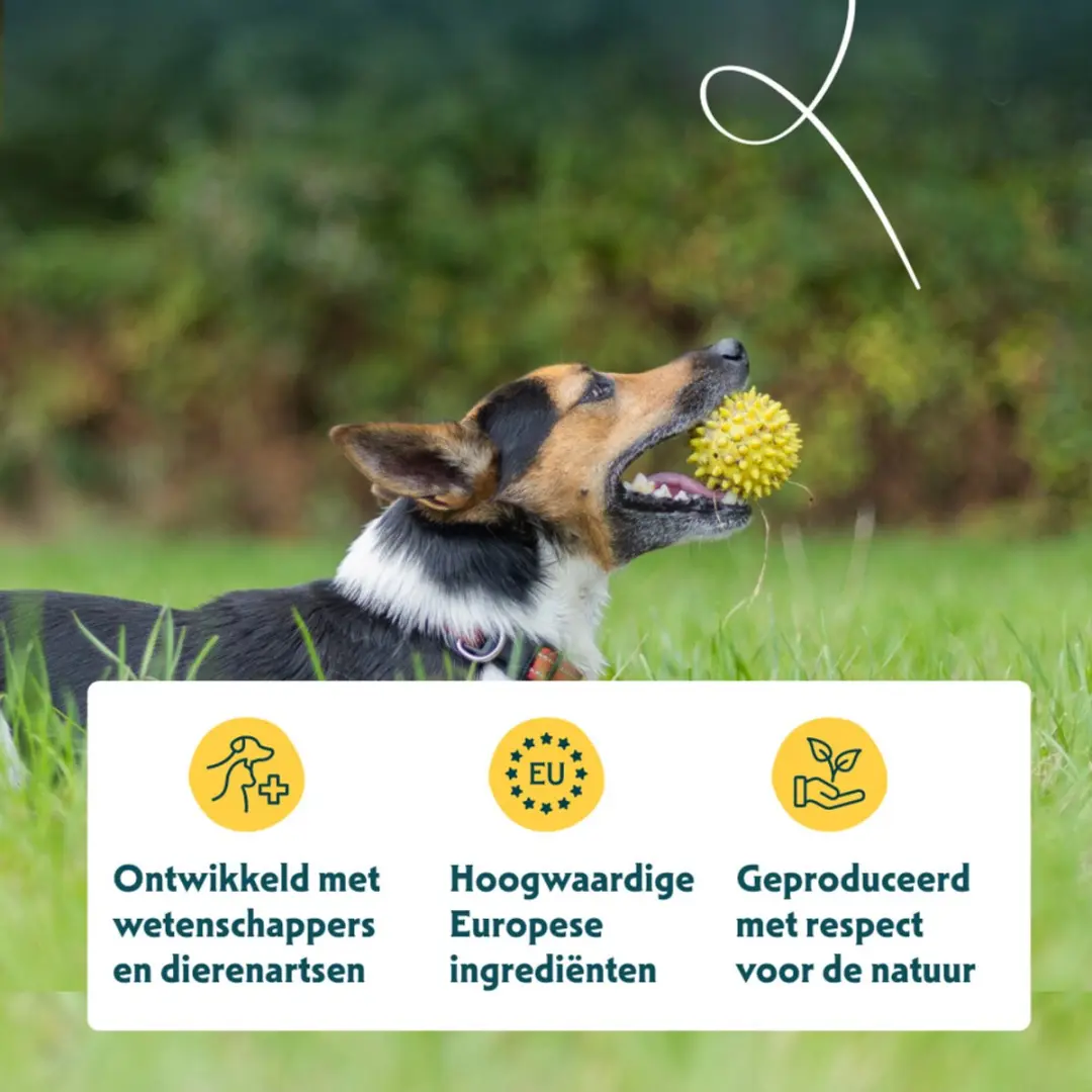 Yarrah Bio Hondenvoer Adult Small Breed Kip 2kg - 4x - afbeelding 4 van 6
