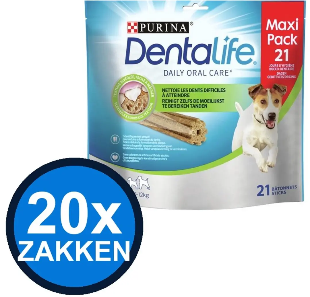 20x Dentalife