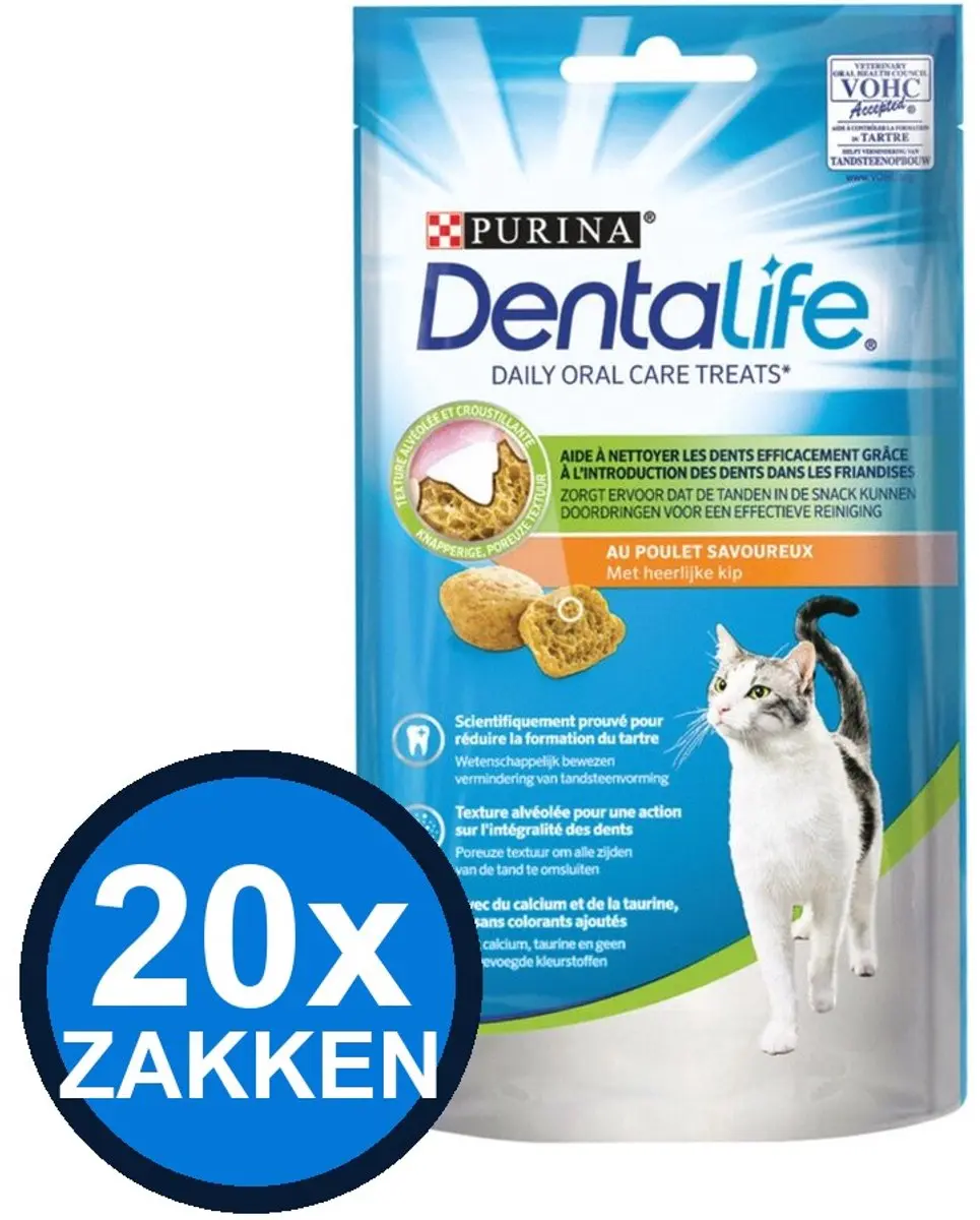 20x Dentalife