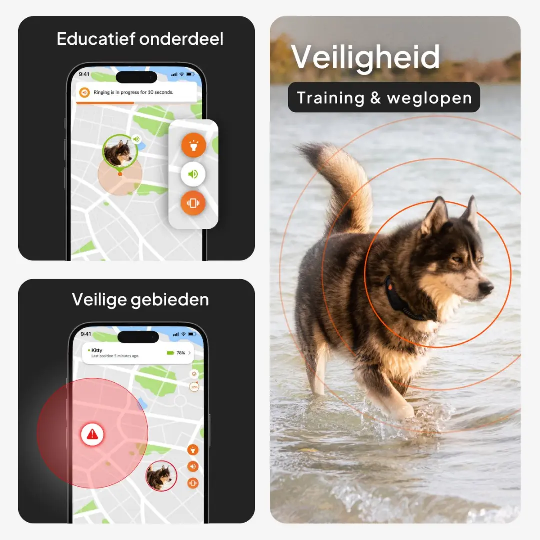 Weenect XT GPS-tracker voor honden - Zwart - afbeelding 6 van 6
