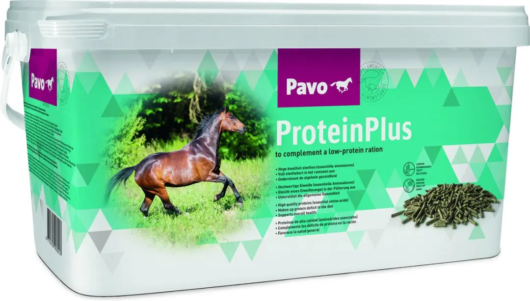 Pavo ProteïnPlus Paardensupplement
