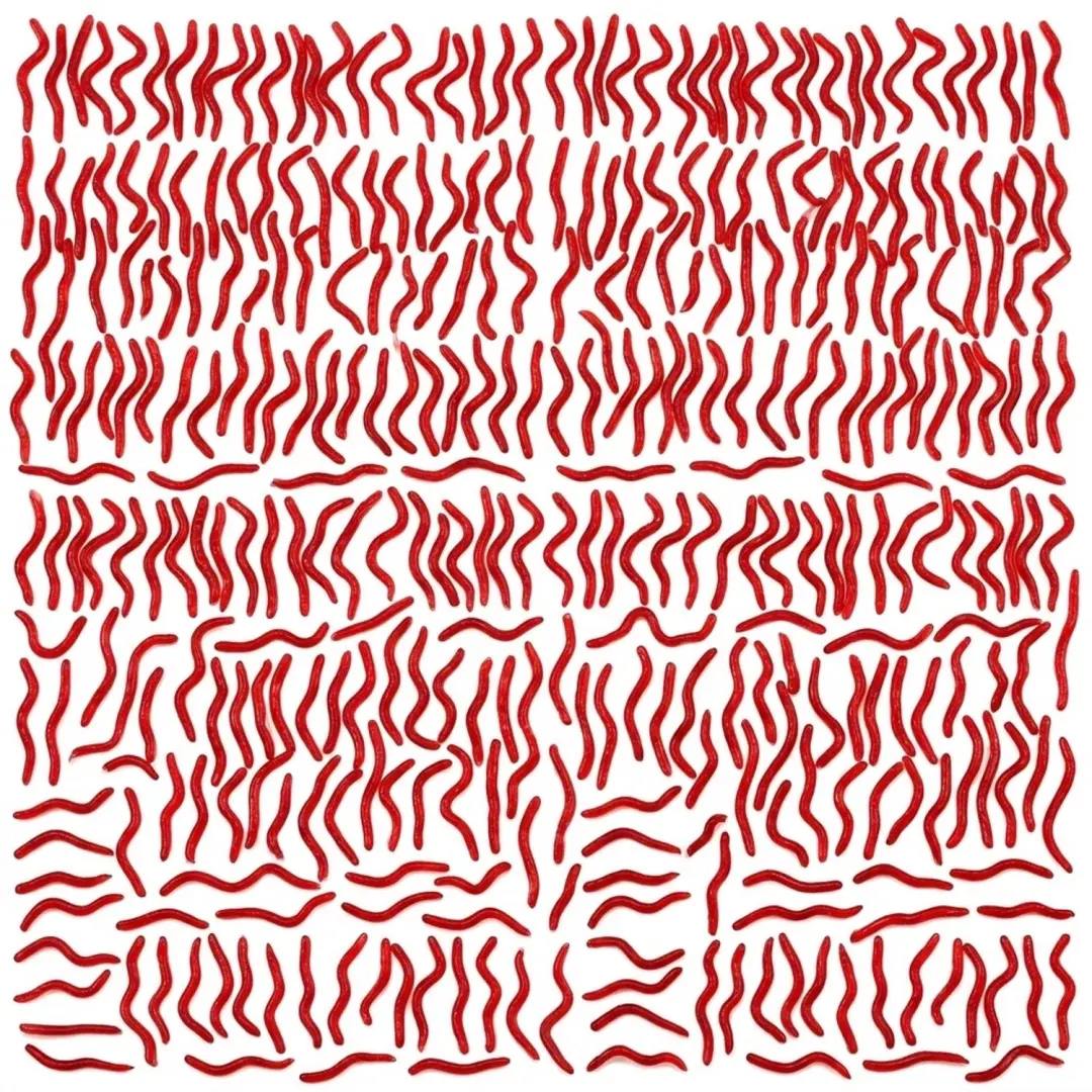 Bruinrood kunstaas wormen 500 stuks