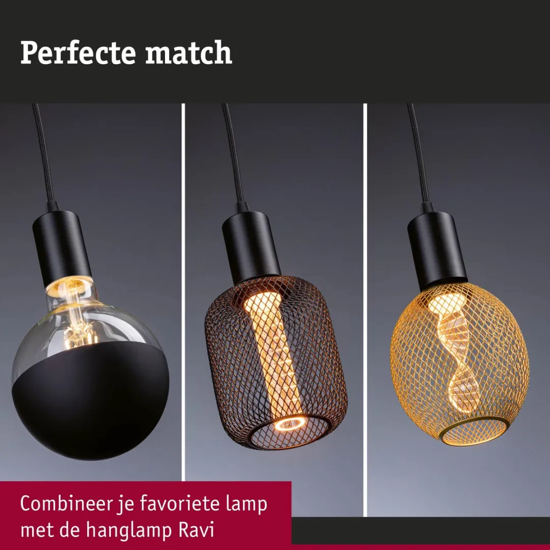 Paulmann Hanglamp Ravi IP44 E27 60W - Zwart mat