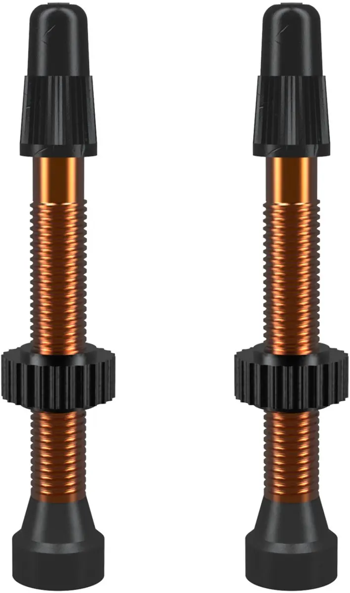 WTB TCS Presta Binnenbandloze Ventielen 46mm