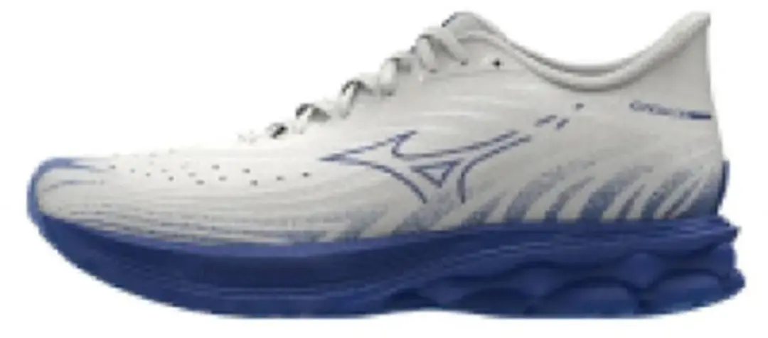 Mizuno Wave Skyrise 6 Hardloopschoenen Wit EU 46 Man