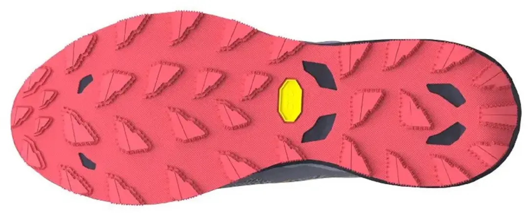 Mizuno Wave Daichi 9 Hardloopschoenen Dames
